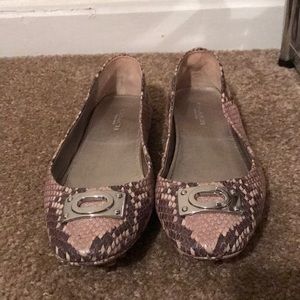 Coach drivers in python